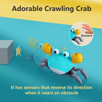 "Krabtastisch Speelplezier: Het Ultieme Krabben Krab Speelgoed"